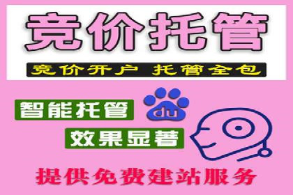 百度推广案例：精准广告投放策略解析